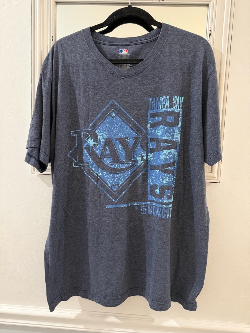Tampa Bay Rays V-Neck Graphic Tee